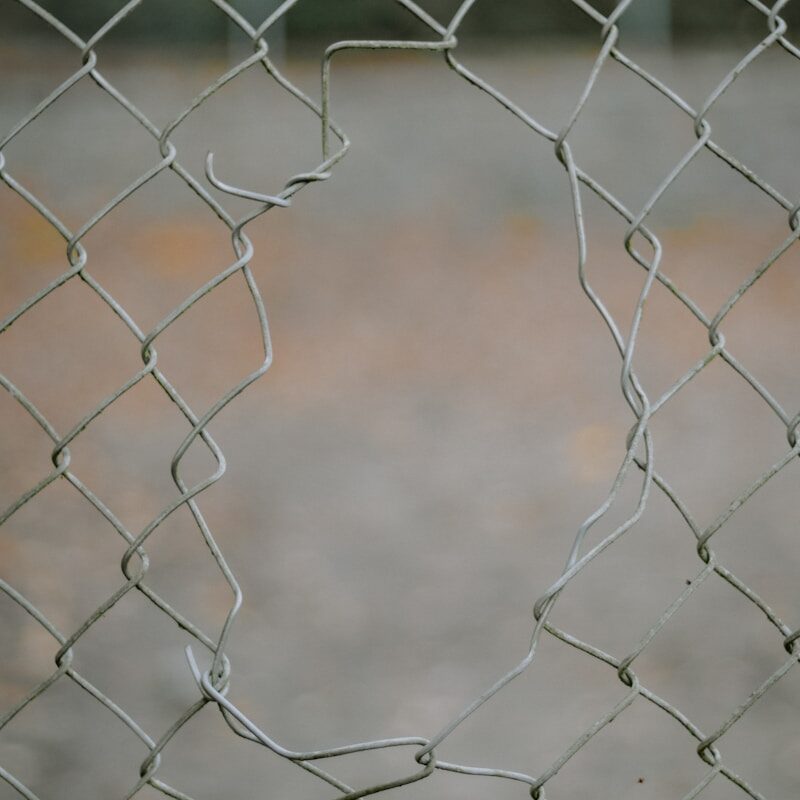 a bird is perched on a wire fence