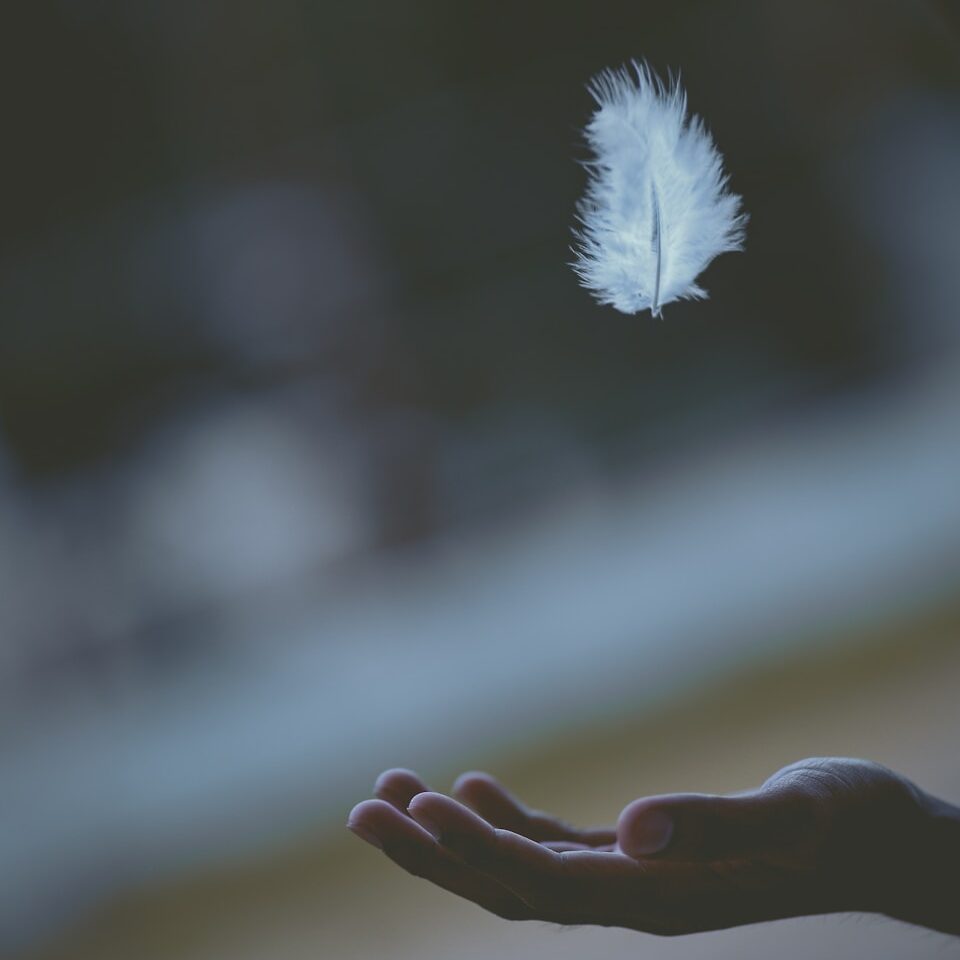 shallow focus photography of white feather dropping in person's hand